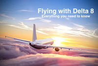 Flying with Delta 8: Everything You Need to Know - DC LLC