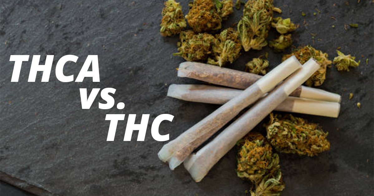 THCA Vs. THC: Understanding, Differences And Which Is Stronger ...