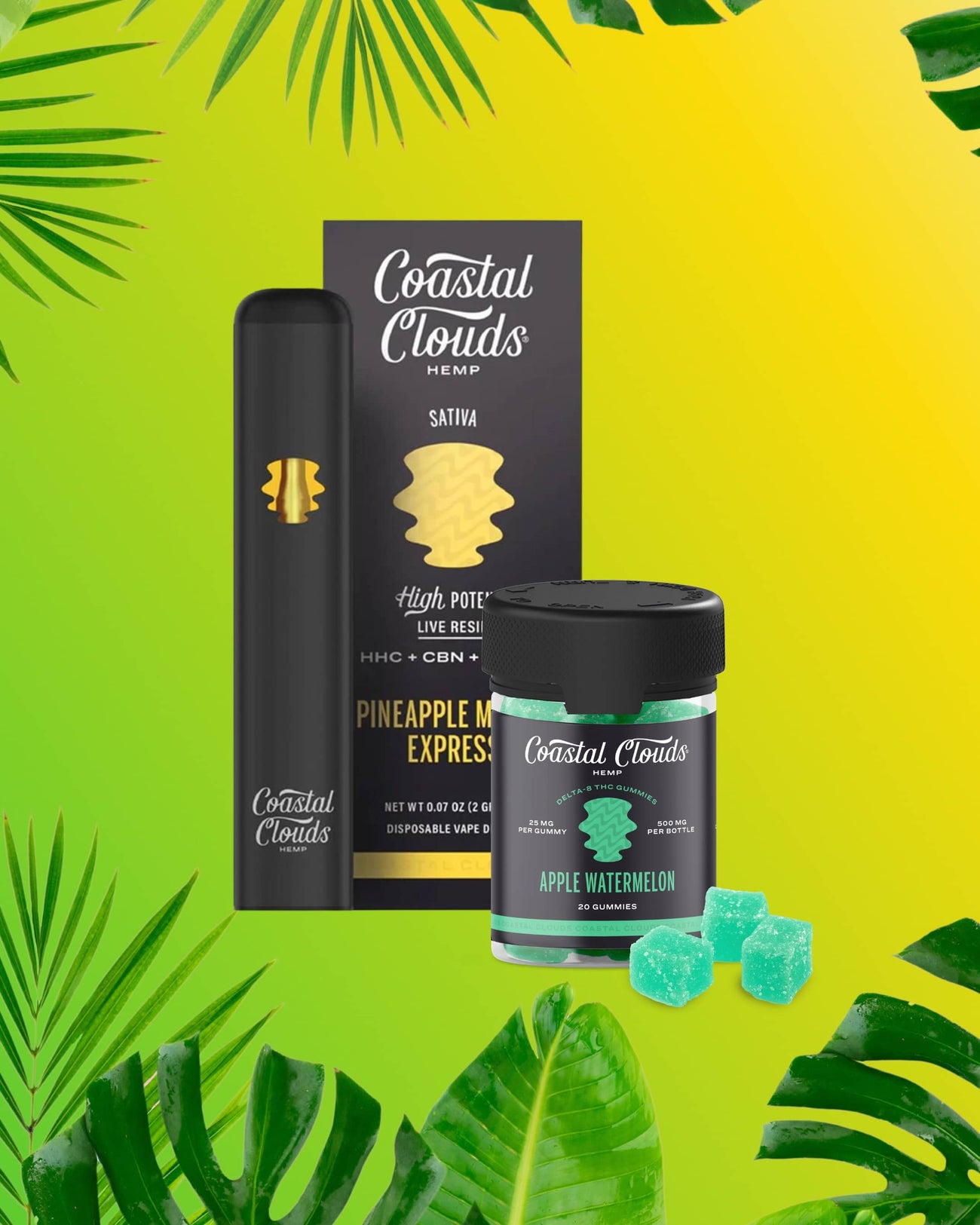 Coastal Clouds - Front Page Banner