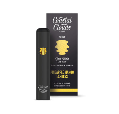 Pineapple Mango Express - Coastal Clouds Disposable -Coastal Clouds