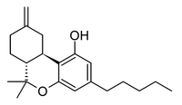 What is Delta 11? Exploring a New THC Variant - DC LLC
