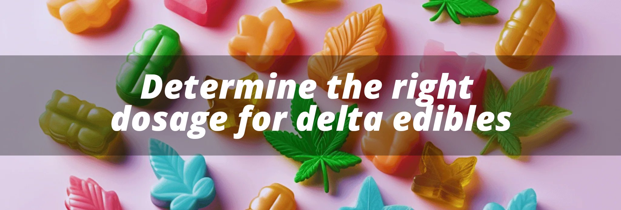 How To Determine the right dosage for delta edibles? Complete Guide - DeltaCloudz