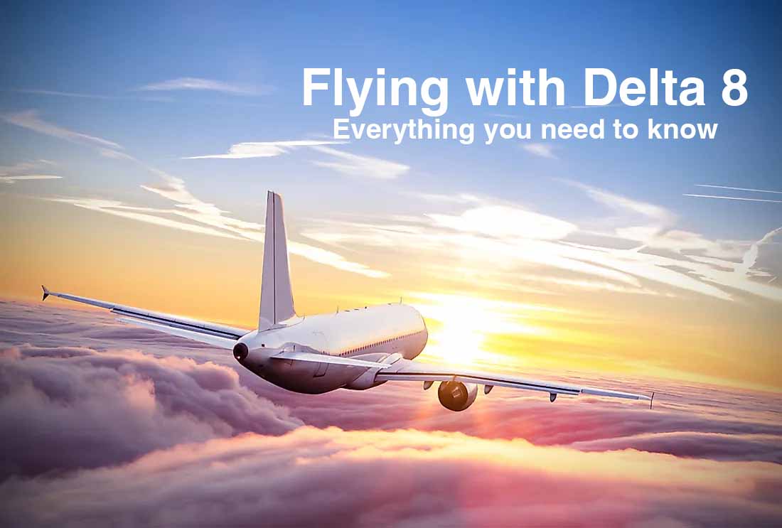 Flying with Delta 8: Everything You Need to Know - DeltaCloudz