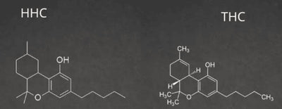 HHC vs THC: All You Need to Know About Cannabinoids - DC LLC
