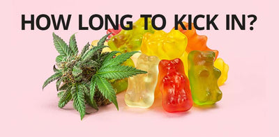 How long Does It Take For Edibles to Kick In? - DeltaCloudz