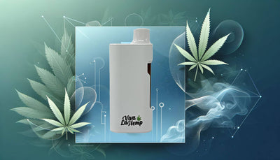 How to Use a Viva La Hemp Disposable Vape: A 2025 Complete Guide - DC LLC