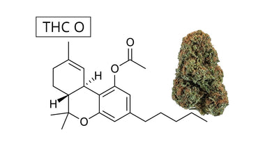 Unraveling the Mystique of THC O Cannabis - DeltaCloudz