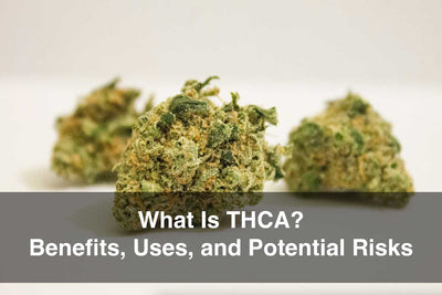 What Is THCA? Benefits, Uses, and Potential Risks - DC LLC