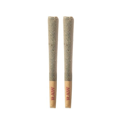 Galaxy Scout Cookies - Astro Eight Hash Hole Pre - Rolls 4G - Astro Eight