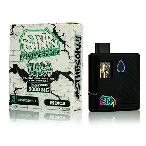 Gelato Mints - STNR Creations Mary Jane Disposable 3G - STNR