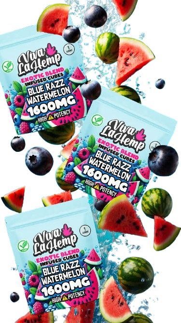 Blue Razz Watermelon - Viva La Hemp Exotic Infused Cubes Gummy 1600MG