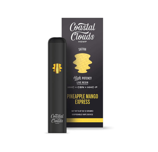 Pineapple Mango Express - Coastal Clouds Disposable -Coastal Clouds