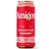 Strawberry - Amigos Cannabis THC Drink 50mg - Amigos - DC LLC