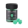 Apple Watermelon - Coastal Clouds Gummies - Coastal Clouds - DC LLC