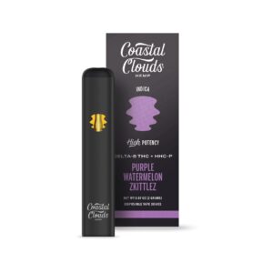 Purple Watermelon Zkittlez - Coastal Clouds Disposable - Coastal Clouds - DC LLC
