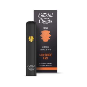 Sour Tangie Haze - Coastal Clouds Disposable - Coastal Clouds - DC LLC