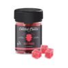 Fruit Punch - Coastal Clouds Gummies - Coastal Clouds - DC LLC