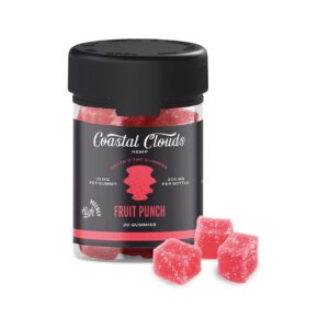 Fruit Punch - Coastal Clouds Gummies - Coastal Clouds - DC LLC