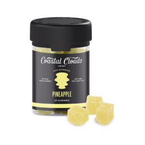 Pineapple - Coastal Clouds Gummies - Coastal Clouds - DC LLC
