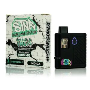 Gelato Mints - STNR Creations Mary Jane Disposable 3G - STNR - DC LLC