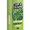 Kush Mint - Viva La Hemp Kosmic Blend Disposable 3G - Viva La Hemp - DC LLC