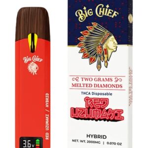 Red Uzumaki - Big Chief Melted Diamonds THCA Disposable 2G - Big Chief - DC LLC