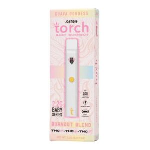 Guava Goddess - Torch Baby Burnout Blend Disposable Vape 2.2G - Torch - DC LLC
